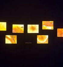 Nazli Shahvagh, “Pranic Energy” Series, Installation View, 2018