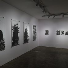 Sara Abbasian, “White Rose” series, installation view, 2019