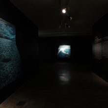 Amirhossein Bayani, “Fidelity (Part 1)” series, installation view, 2019