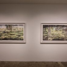 “Phototrope” series, installation view