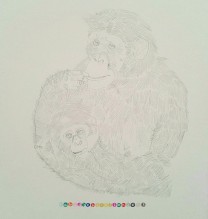 Nahid Behboodian, from “The Last Monkey” series, pencil on cardboard, 22.5 x 22.5 cm, 2014