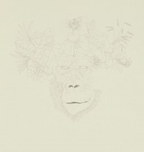 “The Last Monkey” SNahid Behboodian, from “The Last Monkey” series, pencil on cardboard, 22.5 x 22.5 cm, 2014eries, Pencil on Cardboard, 22.5×22.5 cm, 2014