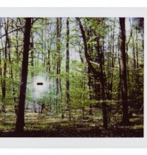 Gohar Dashti, untitled, from “Alien” series, polaroid photography, instant color film, unique edition, 4.6 x 6.2 cm, 2017
