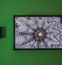 Mohamadreza Tazari, “Self-Similarity”, Video/3D Print, Installation View, 2018