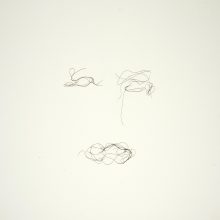 Ursula Neugebaur, “En Face” Series, 50 hair-drawings, 43 x 43 cm, 2014