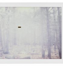 Gohar Dashti, untitled, from “Alien” series, polaroid photography, instant color film, unique edition, 4.6 x 6.2 cm, 2017