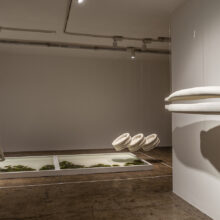 Raheleh Nooravar, “Biosis” series, installation view, 2022