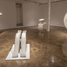 Raheleh Nooravar, “Biosis” series, installation view, 2022