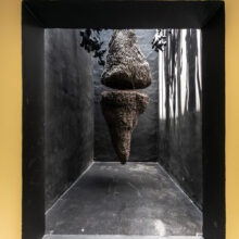 Maryam Mohry, “Greenhouse No. 2; A False Memory”, installation view, 2022