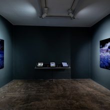 Ali Phi, “Agnosia” series, Factory 04, installation view, 2021