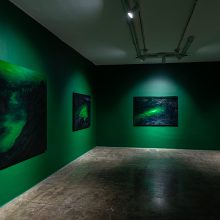 “Legitimate Nature” series, installation view, 2022