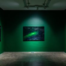 “Legitimate Nature” series, installation view, 2022