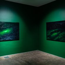 Mahdieh Kavakebpanah, “Legitimate Nature” series, installation view, 2022
