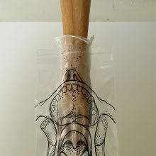 Elika Hedayat, “Mouth”, from “Mutation”, series, installation, wood, glove, drawing, variable dimensions, 2021
