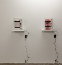 Arya Tabandehpoor, from “Flesh” series, installation view, 2017