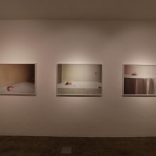 Setare Sanjari,”Decomposition”, installation view, 2019