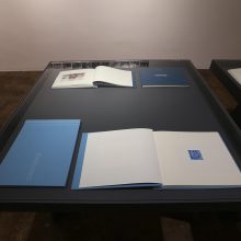 Alireza Fani, “Twelve Blue Squares”, installation view, 2019