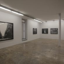 Nima Alizadeh, From “You Were Here, Without Knowing it” Series, Installation View, 2017