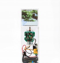 Arya Tabandehpoor, untitled, from “Tree” series, transferred photograph, glass cube, electric motor, sensors, electric circuits, power adaptor, and wiring in plexiglass boxes, unique edition, 7 x 7 x 25 cm, 2015