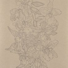 Nahid Behboodian, untitled, from “Orchids” series, pencil on paper, 40 x 29 cm, frame size: 42.5 x 31.5 cm, 2020

