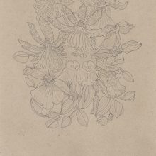 Nahid Behboodian, untitled, from “Orchids” series, pencil on paper, 40 x 29 cm, frame size: 44 x 32.5 cm, 2020
