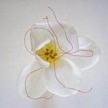Ursula Neugebaur, “Bondage” Series, Petals sewn with red thread, 12 photographs, 40 x 40 cm, edition of 3 + AP 