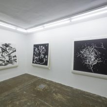 Gohar Dashti, from “Still Life” series, installation view, 2017